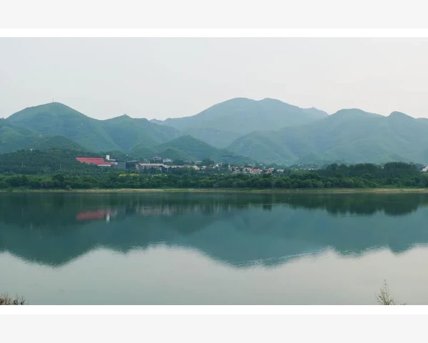 缓解胸闷心律不齐，中医调理方法让您重获健康
